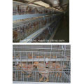 Automatische Schicht-Huhn-Bauernhof-Ausrüstung mit SGS-Bescheinigung
